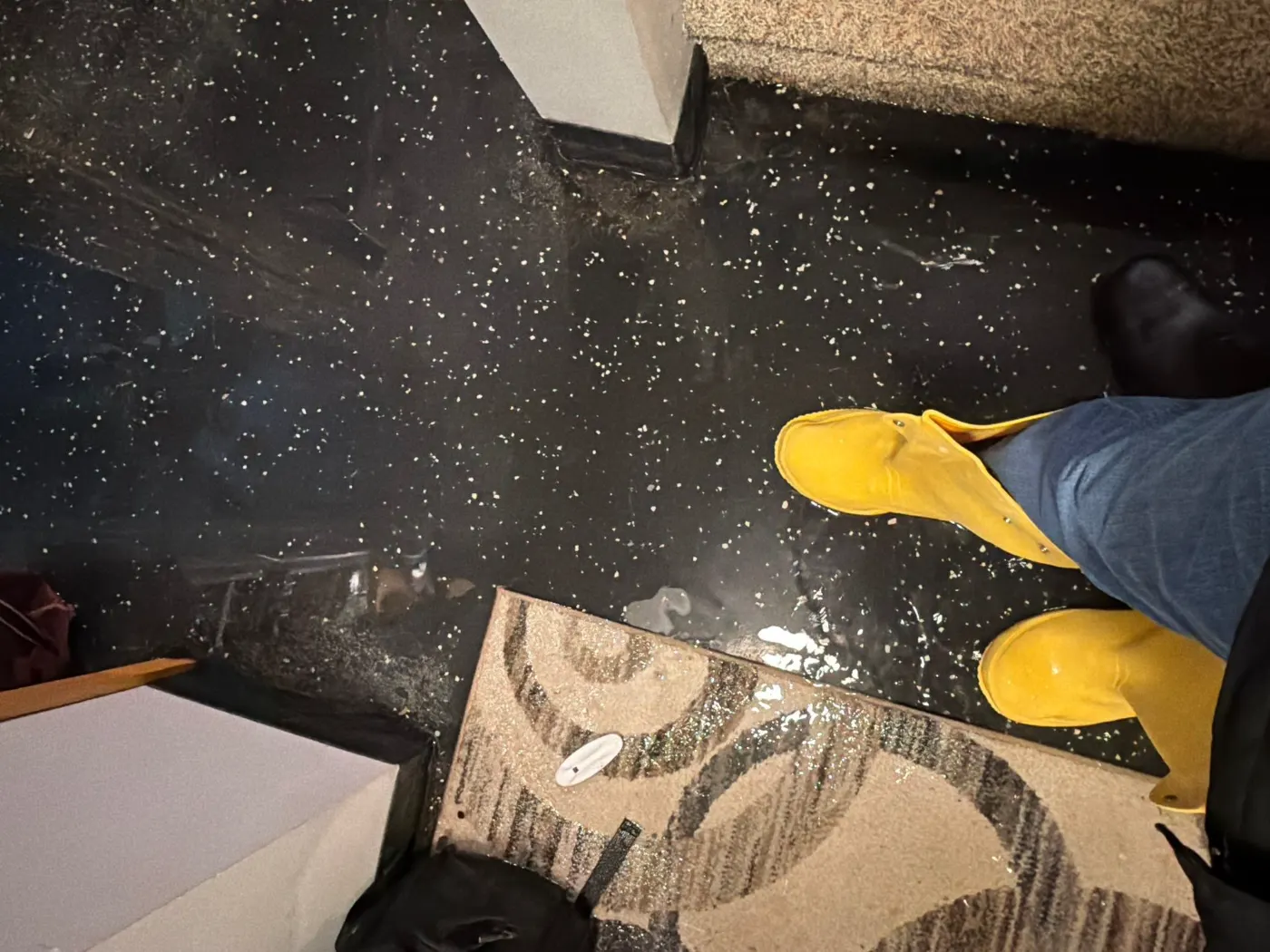 Commercial water mitigation in Albany